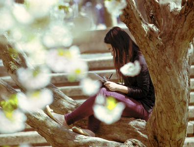Photo of girl reading in a tree on campus